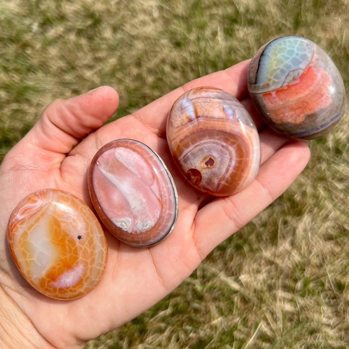 Fire Agate Palm Stone