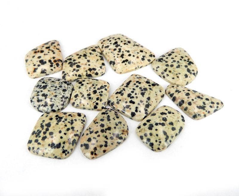 Dalmatian Jasper Cabochon
