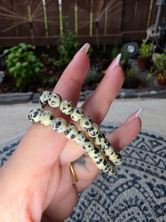 Dalmatian Jasper Beaded Bracelets 6mm