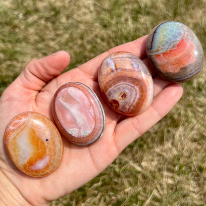 Fire Agate Palm Stone