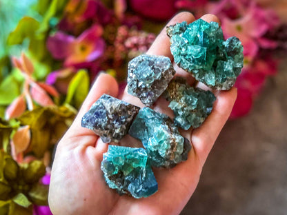 Hidden Forest Pocket Fluorite Clusters (UV Fluorescent)