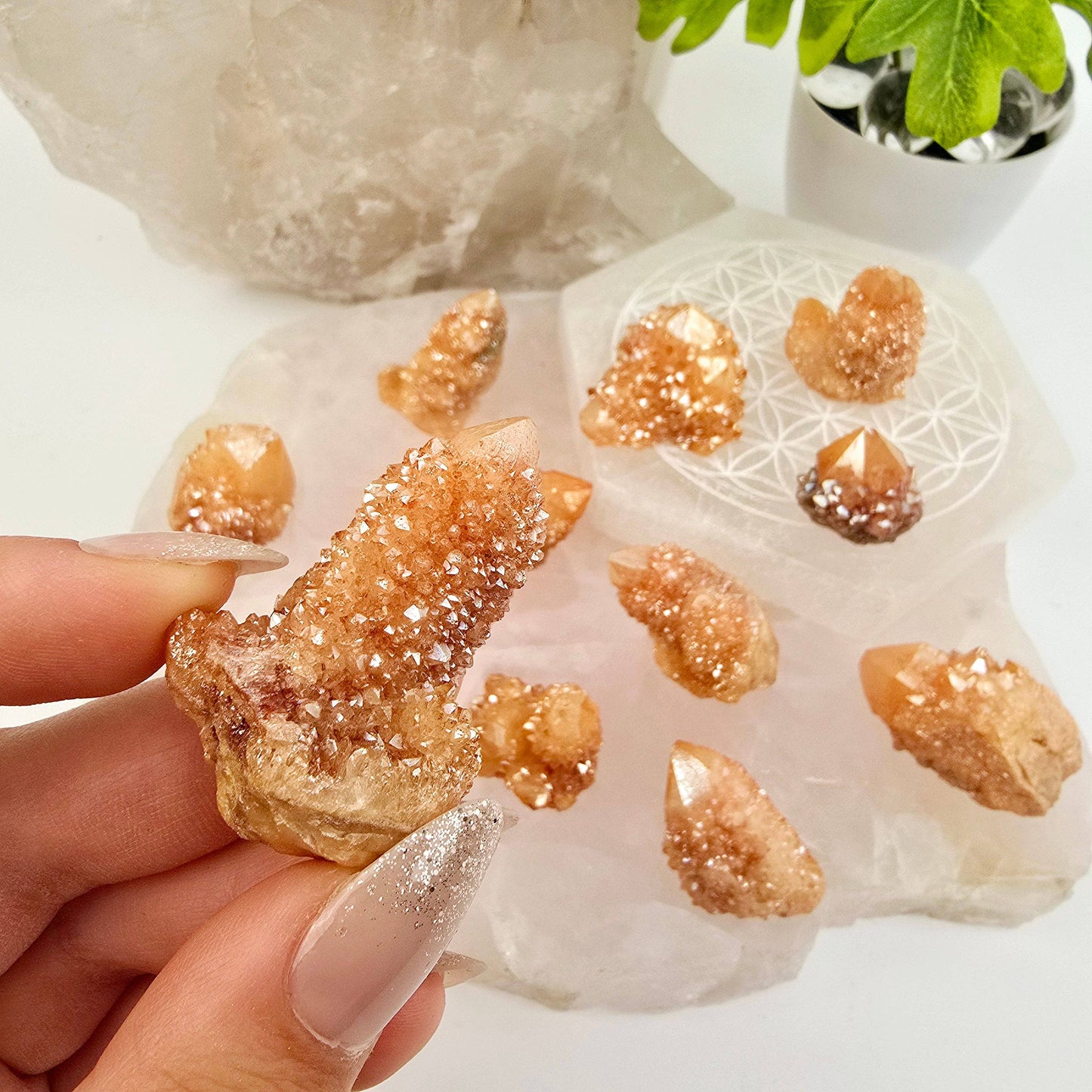 Sunshine Cactus Quartz (Spirit Quartz) Crystal Cluster