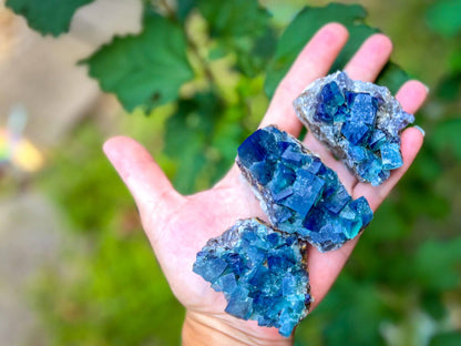 Hidden Forest Pocket Fluorite Clusters (UV Fluorescent)