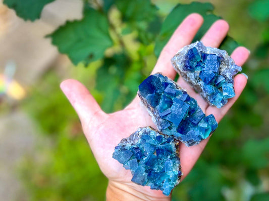 Hidden Forest Pocket Fluorite Clusters (UV Fluorescent)