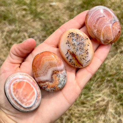 Fire Agate Palm Stone