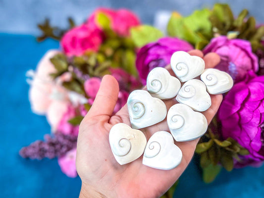 Shiva Eye Spiral Shell Heart