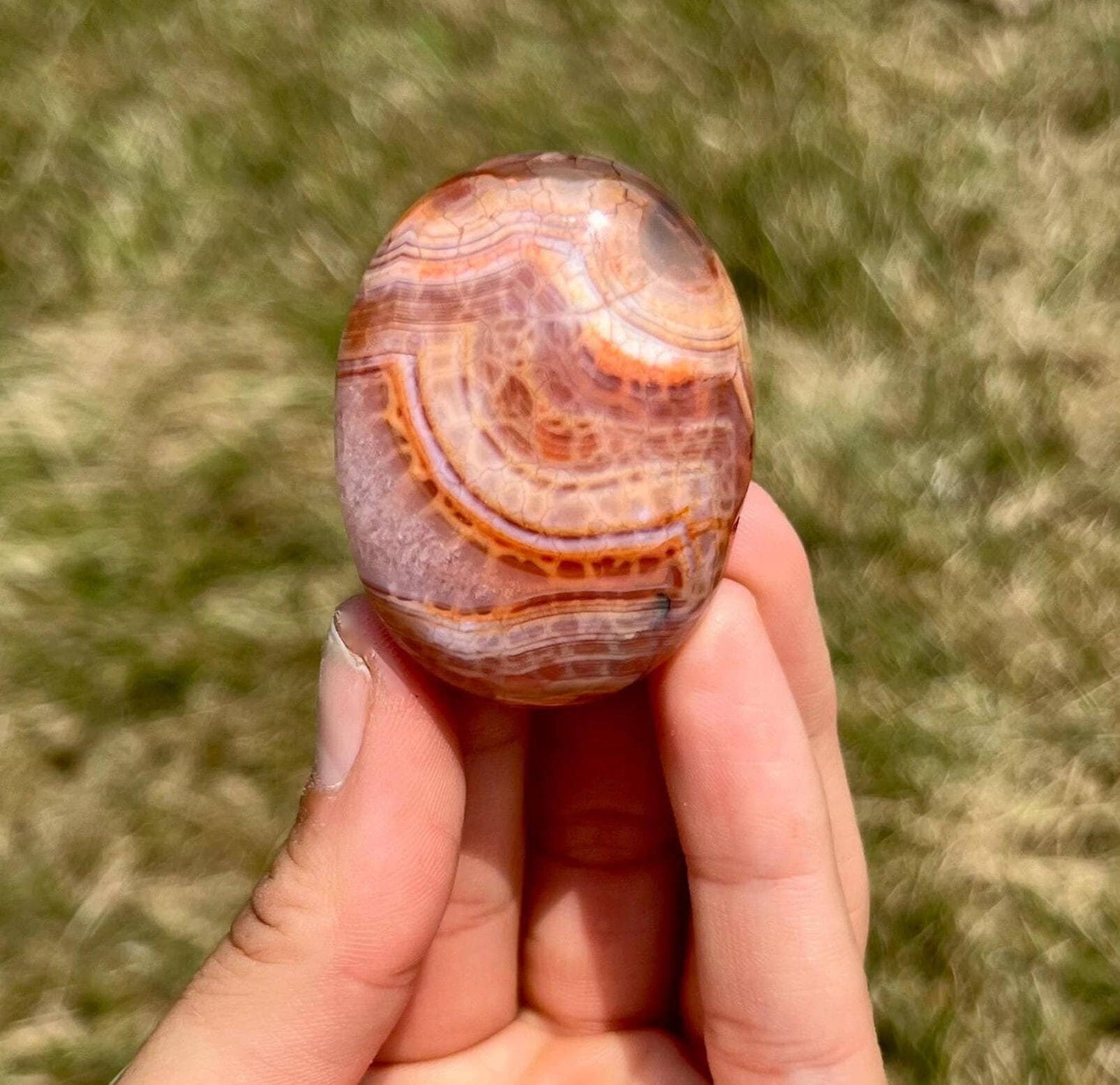 Fire Agate Palm Stone