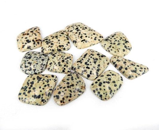 Dalmatian Jasper Cabochon